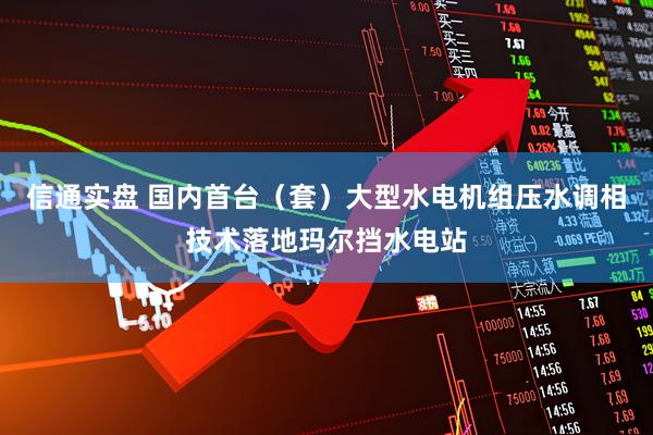 信通实盘 国内首台（套）大型水电机组压水调相技术落地玛尔挡水电站