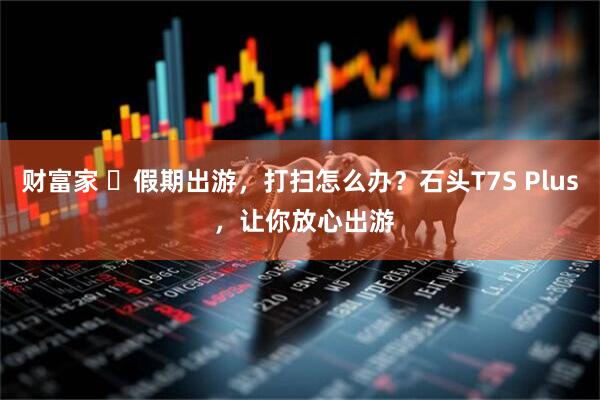 财富家 ​假期出游，打扫怎么办？石头T7S Plus ，让你放心出游