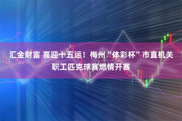汇金财富 喜迎十五运！梅州“体彩杯”市直机关职工匹克球赛燃情开赛