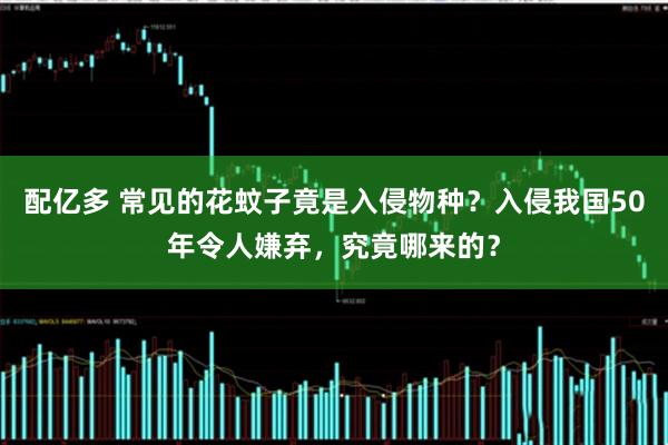 配亿多 常见的花蚊子竟是入侵物种？入侵我国50年令人嫌弃，究竟哪来的？