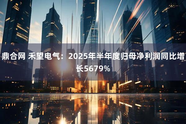 鼎合网 禾望电气：2025年半年度归母净利润同比增长5679%